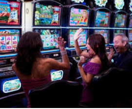 新葡萄(8883·AMG)免费版