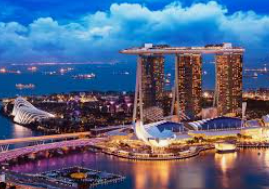 新葡萄(8883·AMG)最新版