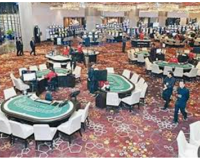 新葡萄(8883·AMG)最新版