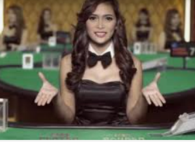 新葡萄(8883·AMG)正式版